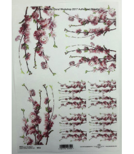 ITD Rice paper R0411A4